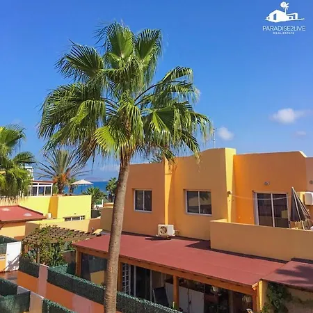 Delfines Corralejo