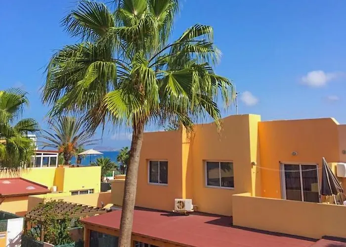 Delfines コラレホ