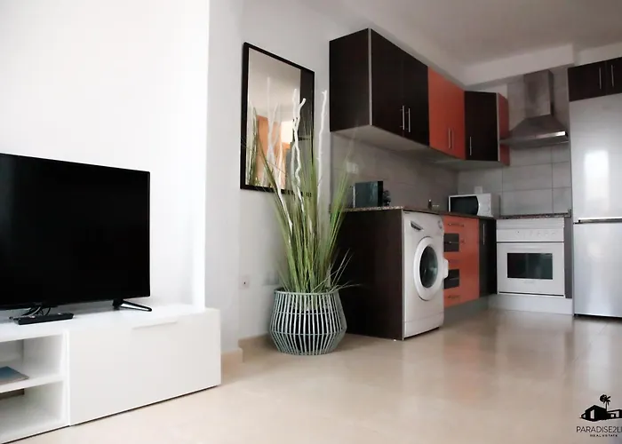 Delfines コラレホ